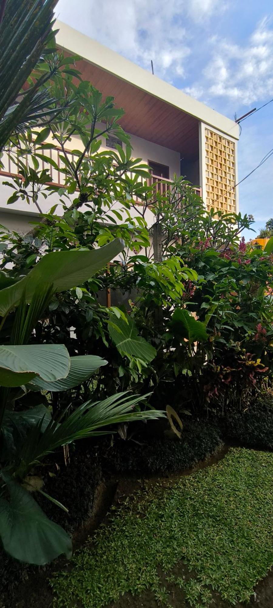 Bhuana Shanti Homestay 우붓 외부 사진